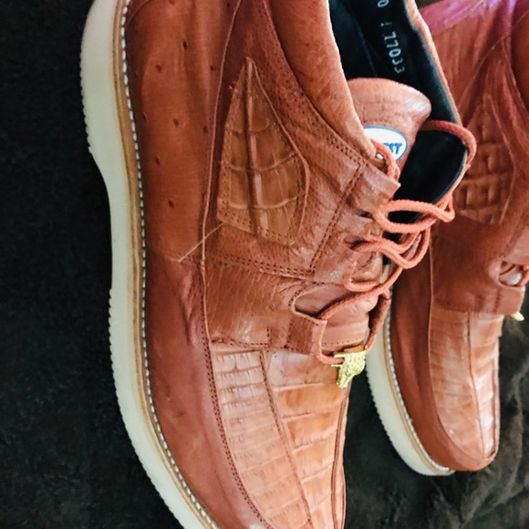 COPY - Gators - Picture 6 of 8